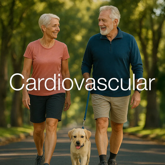 Cardiovascular